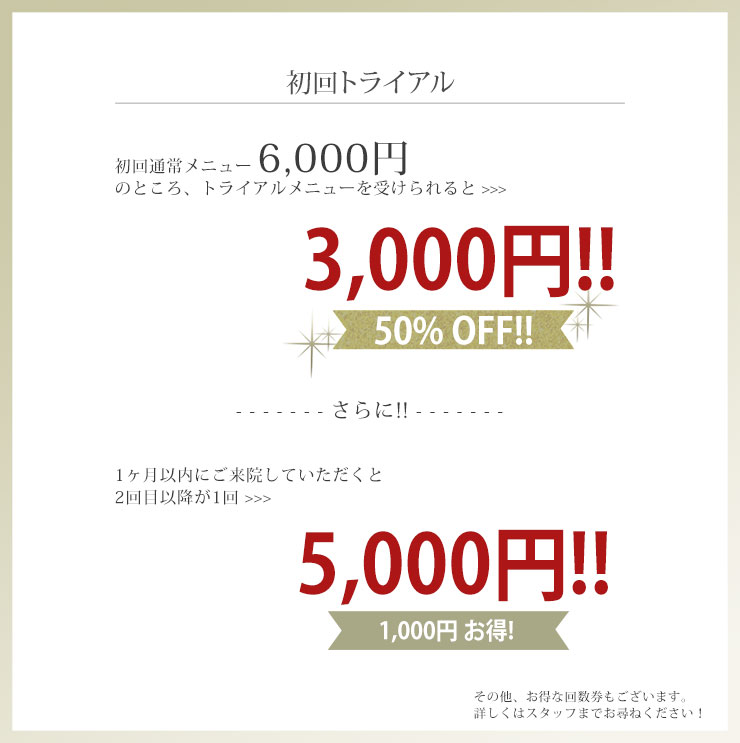 初回トライアルコースがお得です